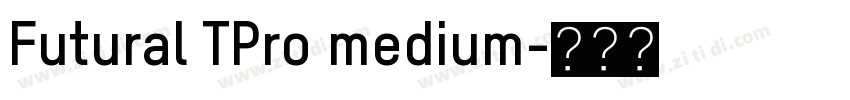 Futural TPro medium字体转换